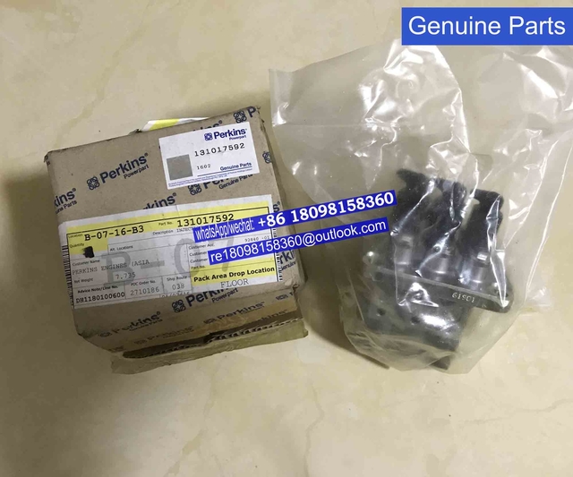 131017592 fuel injection for Perkins engine 403 series Genuine engine parts/3 cylinders engine