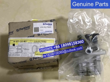 131017592 fuel injection for Perkins engine 403 series Genuine engine parts/3 cylinders engine
