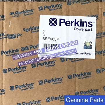 Genuine original perkins gasket kit 6SE663P for 4006TAG 4006TWG 4006TESI engine parts